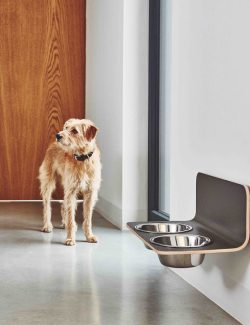 Arco Dog Bowl Set