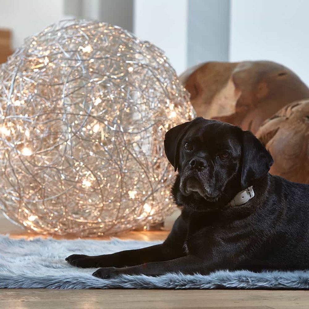 Lana Hundedecke