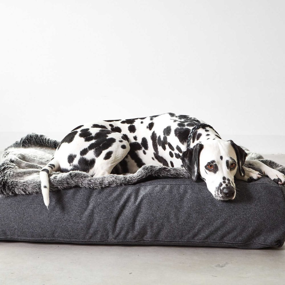 MC_C01-016-03-ML_Sleep_Stella_Lounge_Cushion_Mottled-Anthracite_Penny_838