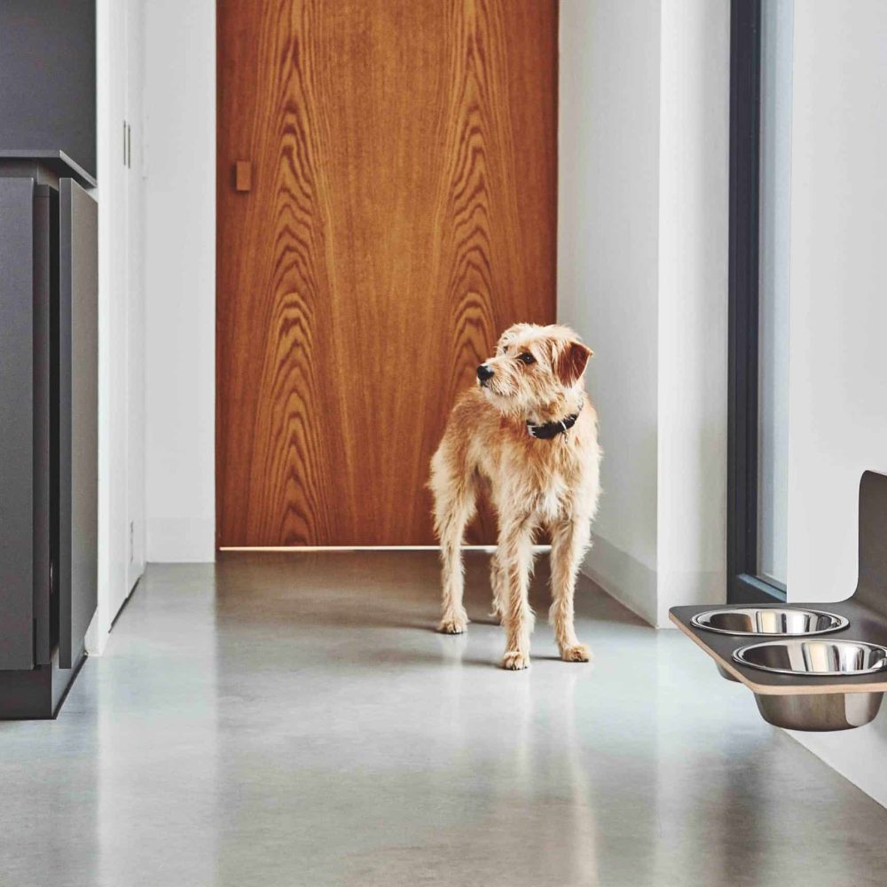Arco Napfhalter Hund