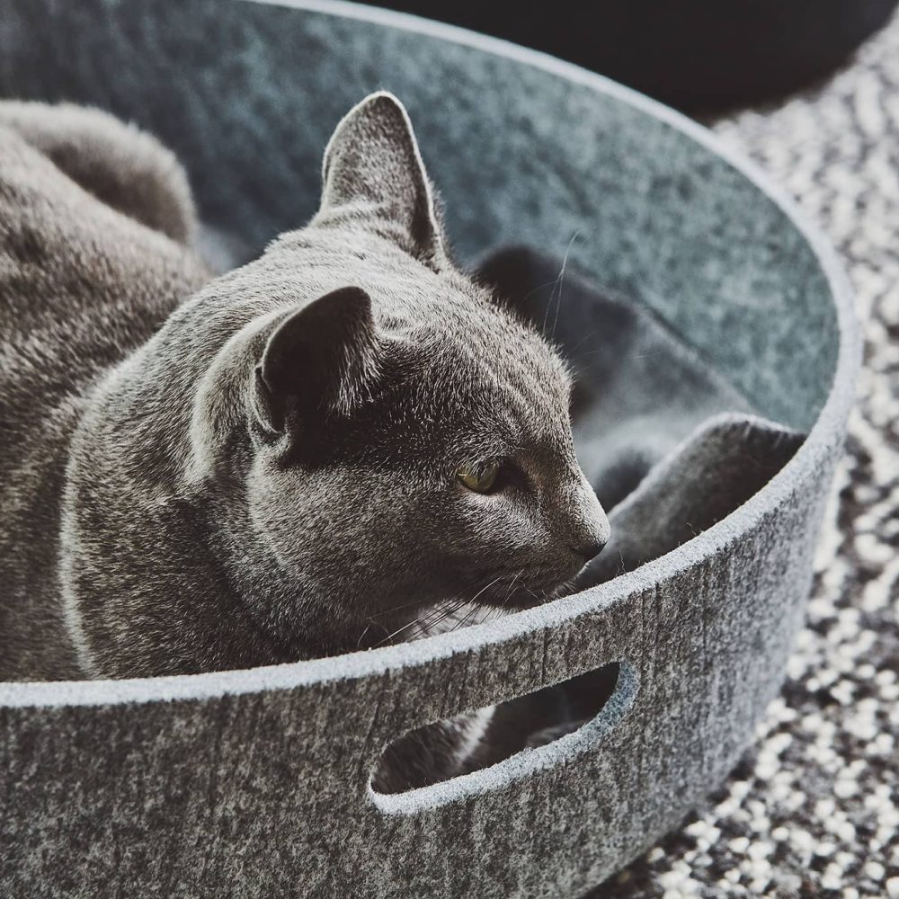 Sleep_Cesto_Concrete_Mia_1443