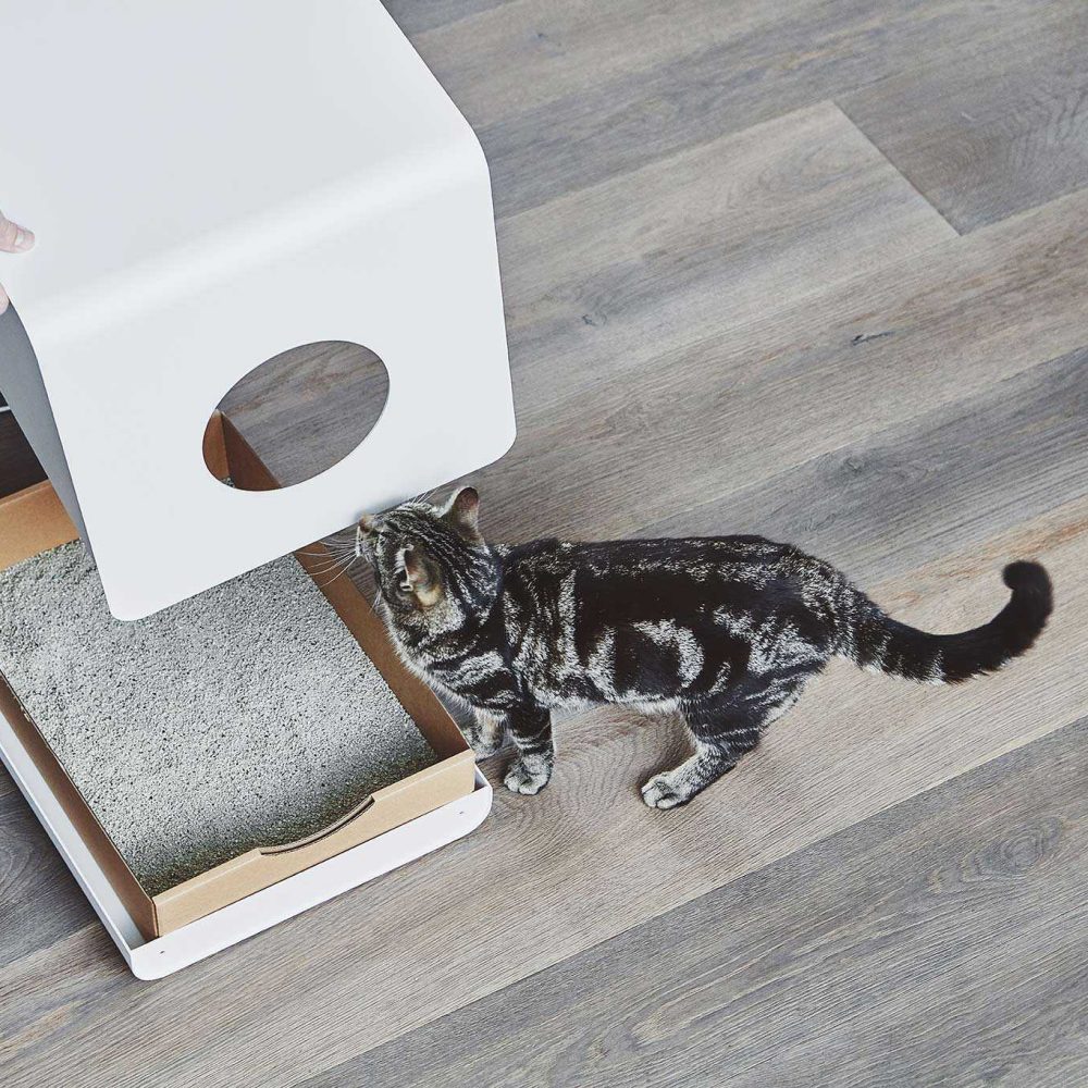 MC_G05-001-01_Litter_Sito_White_Samu_2878 (1)