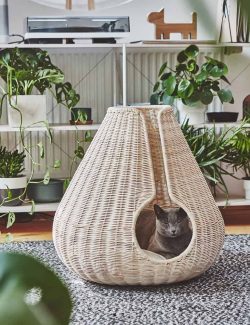 Perla Cat Cave 1